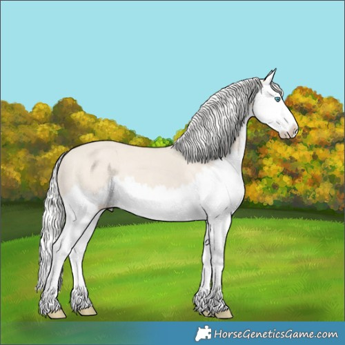 Horse Color:Silver Smoky Creme Dun Splash