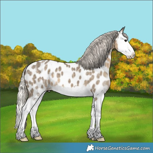Horse Color:Silver Smoky Grullo Ice Splash Near Leopard 