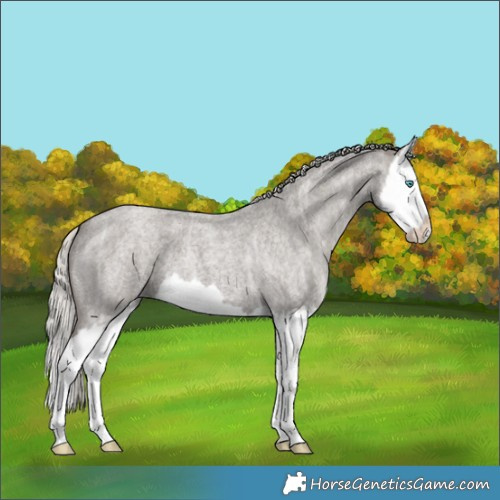 Horse Color:Silver Smoky Blue Ice Roan Splash