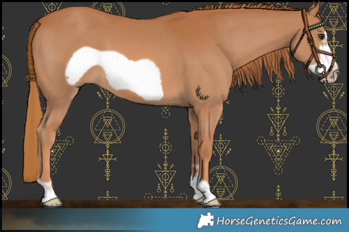 Horse Color:Chestnut Frame 