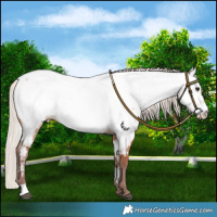 Horse Color:Chocolate Silver Bay Roan Near Fewspot 