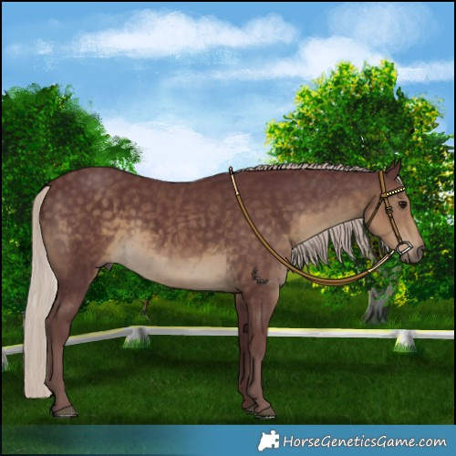 Horse Color:Chocolate Silver Smoky Black 