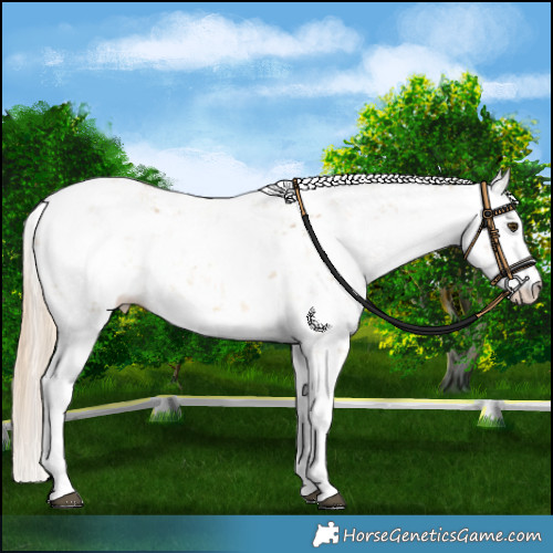 Horse Color:Chocolate Palomino Dun Sabino