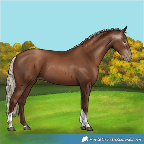 Horse Color:Gray Silver Black Pearl Tobiano
