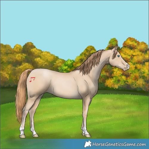 Horse Color:Smoky Black Pearl 
