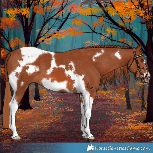Horse Color:Chestnut Tobiano Frame 