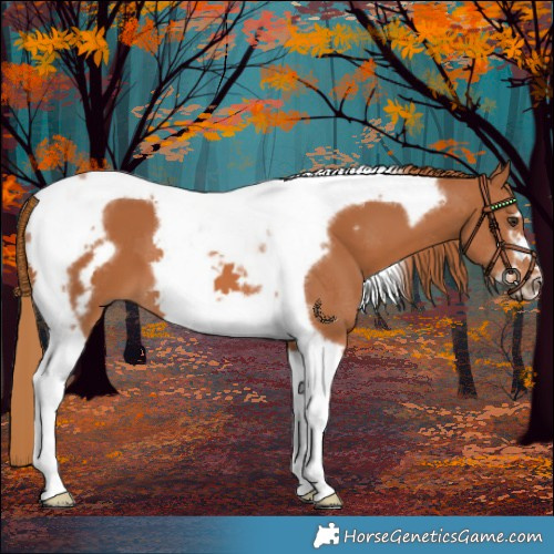 Horse Color:Chestnut Tobiano Frame 