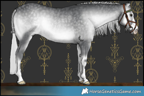 Horse Color:Silver Blue Onyx Chinchilla 