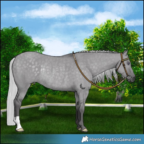 Horse Color:Silver Smoky Grullo Chinchilla Rabicano