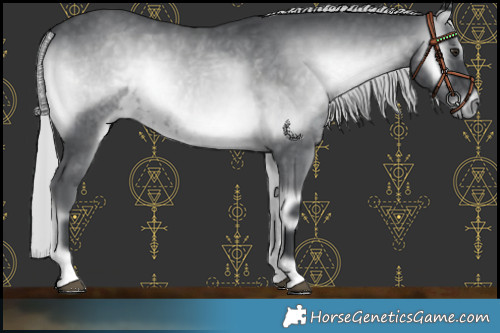 Horse Color:Silver Blue Onyx Chinchilla 