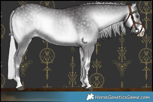 Horse Color:Silver Smoky Blue Onyx Chinchilla Sabino 
