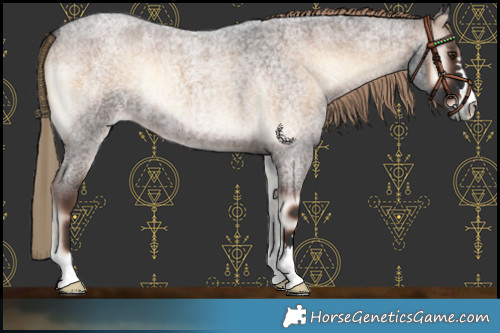 Horse Color:Liver Red Onyx Roan 