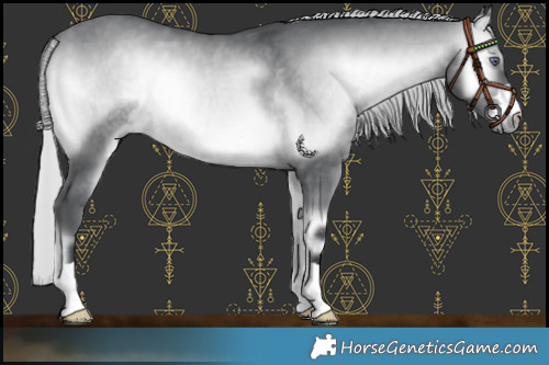 Horse Color:Silver Brown Chinchilla Onyx 