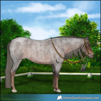 Horse Color:Liver Red Roan Mushroom 