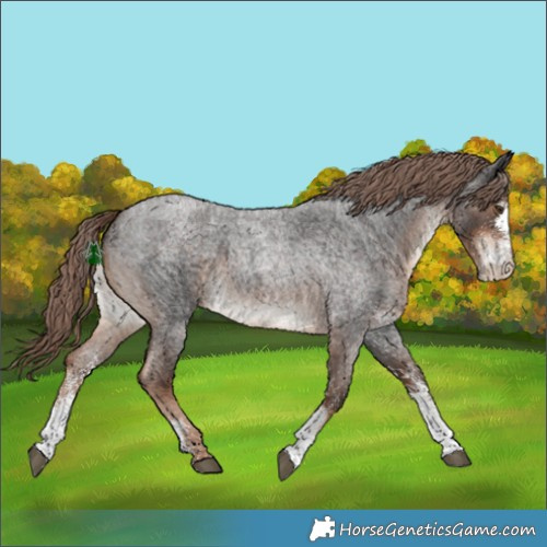 Horse Color:White Spotted Liver Red Roan Rabicano 