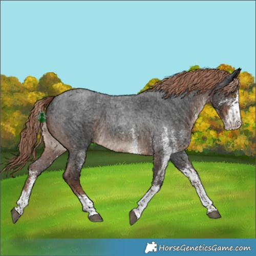 Horse Color:White Spotted Liver Red Roan Rabicano 