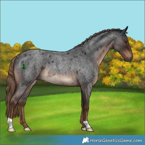 Horse Color:Liver Red Roan Rabicano 