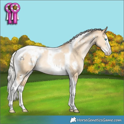 Horse Color:White Spotted Silver Buckskin Snowdrop Dun Splash Tobiano Appaloosa 