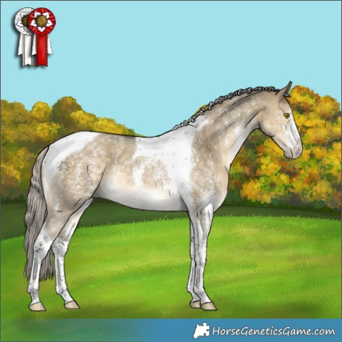 Horse Color:Silver Buckskin Dun Sabino Tobiano 