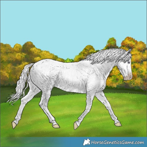 Horse Color:White Spotted Chocolate Silver Smoky Creme Chinchilla Ice