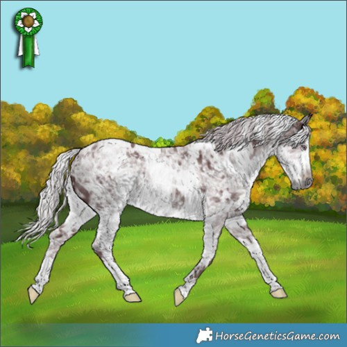 Horse Color:White Spotted Chocolate Silver Smoky Black Chinchilla Ice 