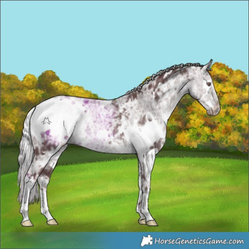 Horse Color:White Spotted Chocolate Silver Black Chinchilla Ice 