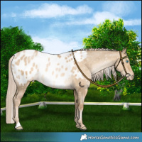 Horse Color:Chocolate Palomino Pearl Dun Mushroom Blanket 