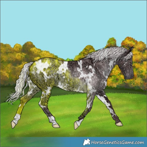 Horse Color:White Spotted Chocolate Silver Black Chinchilla Ice