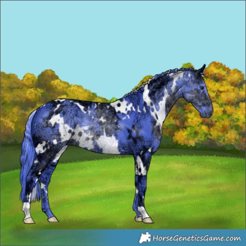 Horse Color:Watercolor White Spotted Chocolate Black Chinchilla Ice