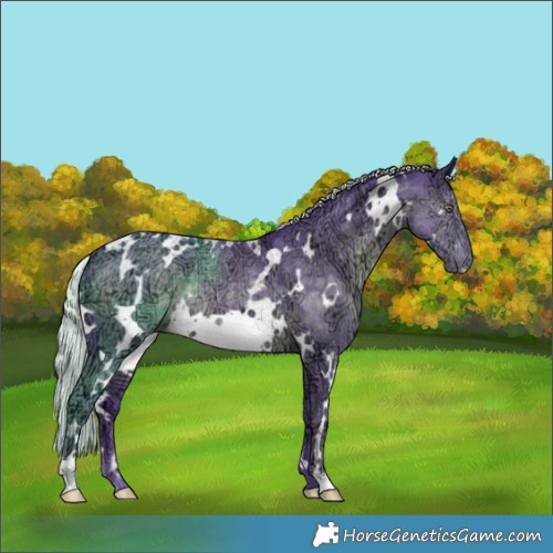Horse Color:Watercolor White Spotted Chocolate Silver Black Chinchilla Ice
