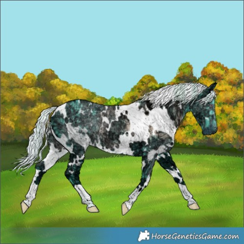 Horse Color:Watercolor White Spotted Chocolate Silver Smoky Black Chinchilla Ice
