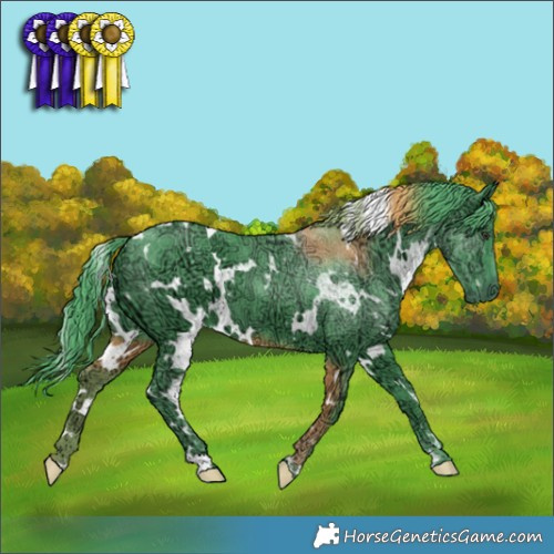 Horse Color:Watercolor White Spotted Chocolate Smoky Black Chinchilla Ice