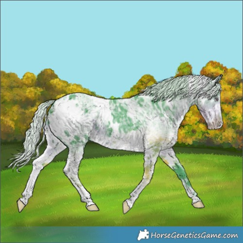 Horse Color:Watercolor White Spotted Chocolate Silver Smoky Black Chinchilla Ice 