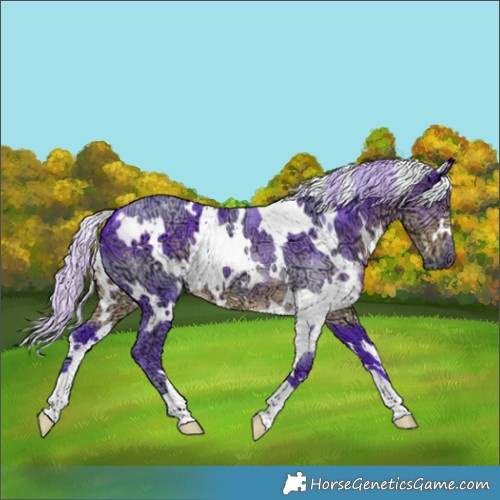 Horse Color:Watercolor White Spotted Chocolate Silver Smoky Black Chinchilla Ice 