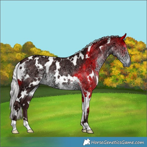 Horse Color:White Spotted Chocolate Silver Smoky Black Chinchilla Ice 