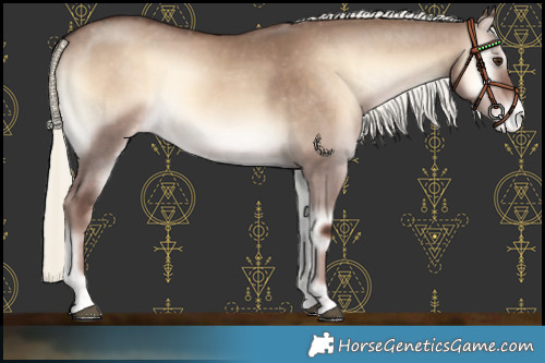 Horse Color:Liver Red Dun Onyx Mushroom Appaloosa 
