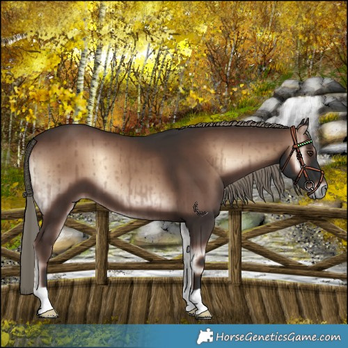 Horse Color:Liver Red Onyx Mushroom Brindle 