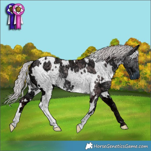 Horse Color:White Spotted Chocolate Silver Smoky Black Chinchilla Ice