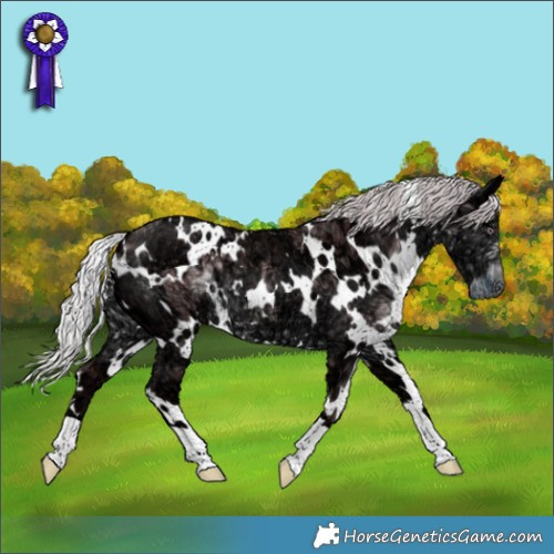 Horse Color:White Spotted Chocolate Silver Smoky Black Chinchilla Ice