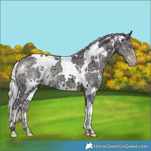 Horse Color:Watercolor White Spotted Chocolate Silver Smoky Creme Chinchilla Ice