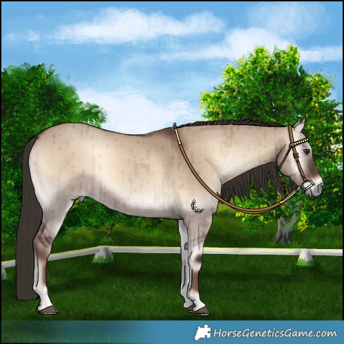 Horse Color:Liver Red Dun Onyx Brindle 
