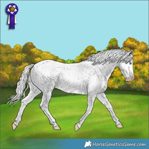 Horse Color:White Spotted Chocolate Silver Smoky Creme Chinchilla Ice