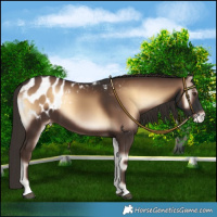 Horse Color:Liver Red Onyx Blanket