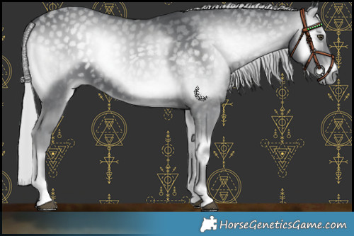 Horse Color:Silver Blue Onyx Chinchilla 
