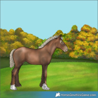Horse Color:Gray Liver Chestnut Pearl Mushroom