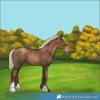 Horse Color:Gray Liver Chestnut Pearl Mushroom 
