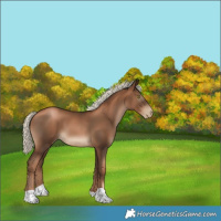 Horse Color:Gray Liver Chestnut Pearl Mushroom 