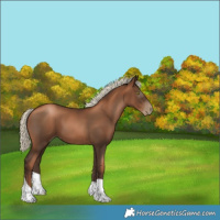 Horse Color:Gray Liver Chestnut Pearl Mushroom