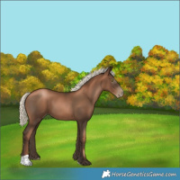 Horse Color:Gray Liver Chestnut Pearl Mushroom