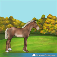 Horse Color:Gray Liver Chestnut Pearl Mushroom 